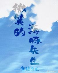 有只海豚想撩我小说封面