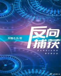 反向捕获小说封面