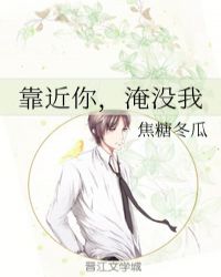 靠近你，淹没我小说封面