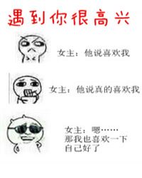 遇到你很高兴小说封面