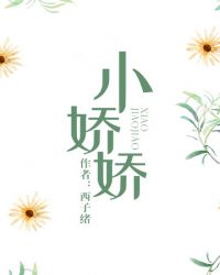 小娇娇小说封面