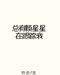总有颗星星在跟踪我小说封面