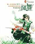 风舞小说封面