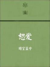 恕爱小说封面