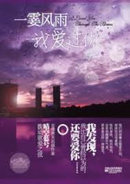 一霎风雨我爱过你小说封面