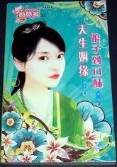 娘子到口酥小说封面