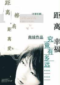 距离擦肩，距离爱小说封面