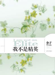 我不是精英小说封面