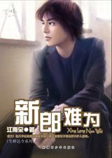 新郎难为小说封面
