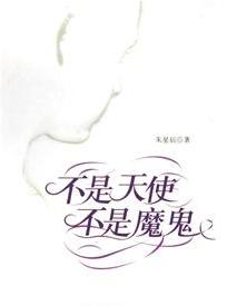 不是天使，不是魔鬼小说封面