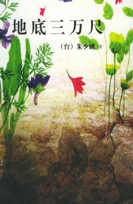 地底三万尺小说封面