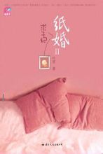 纸婚2·求子记小说封面