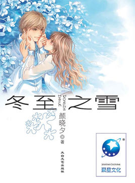 冬至之雪小说封面