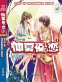仲夏夜之恋1小说封面