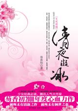 清夜凝冰小说封面