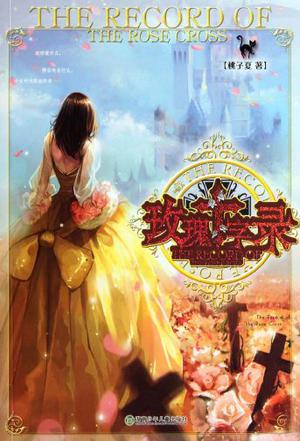 玫瑰十字录小说封面