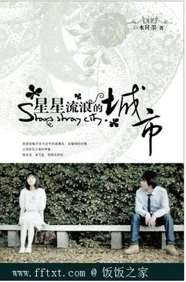 星星流浪的城市小说封面