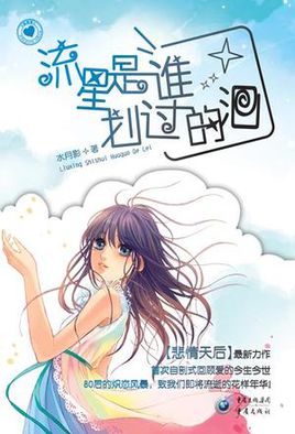 流星是谁划过的泪小说封面