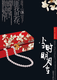 当时明月在小说封面