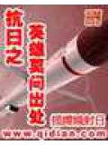 抗日之英雄莫问出处小说封面