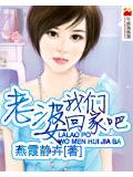 老婆我们回家吧小说封面