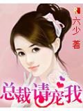 总裁,请宠我!小说封面