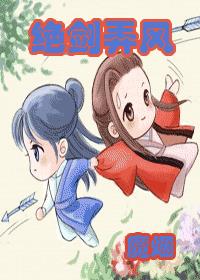 绝剑弄风小说封面