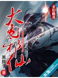 大内邪仙小说封面