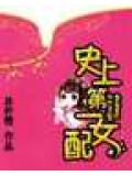 史上第一女配小说封面
