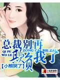 总裁别再追我了小说封面