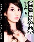 冷总裁的前妻小说封面