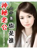 神秘老公你是谁小说封面