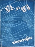 真与假小说封面