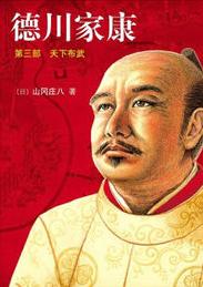 德川家康3·天下布武小说封面