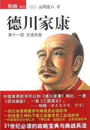 德川家康11·王道无敌小说封面