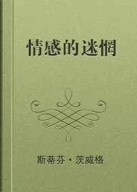情感的迷惘小说封面