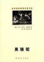 黑骆驼小说封面