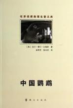中国鹦鹉小说封面