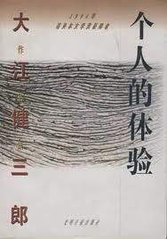 个人的体验小说封面