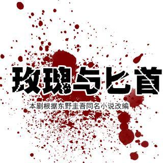 玫瑰与匕首小说封面