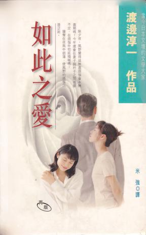 如此之爱小说封面