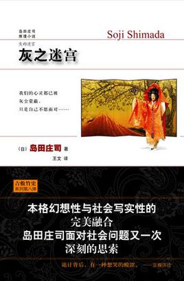 灰之迷宫小说封面