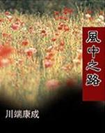 风中之路小说封面