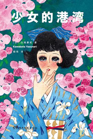 少女的港湾小说封面