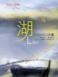 湖小说封面