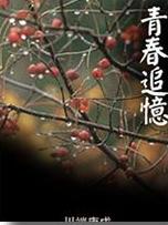 青春追忆小说封面