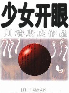 少女开眼小说封面