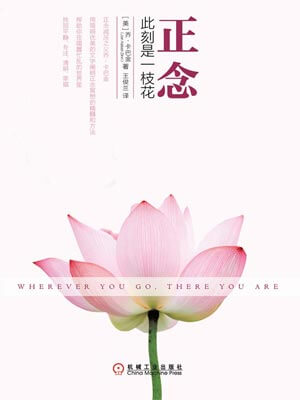 正念：此刻是一枝花小说封面